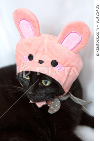 Black cat in a rabbit hat 91425435