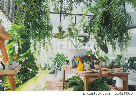 The plant shop and plant nursery The plant shop and plant nursery 91426069