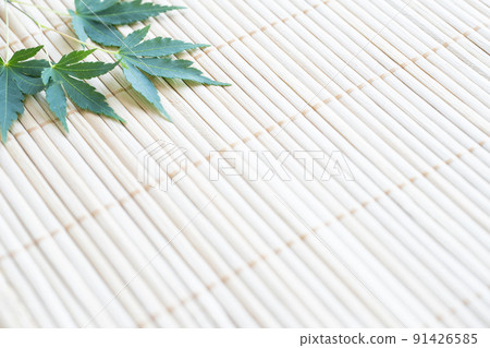 Sudare and blue maple summer plant Japanese style background Sudare and blue maple summer plant Japanese style background 91426585