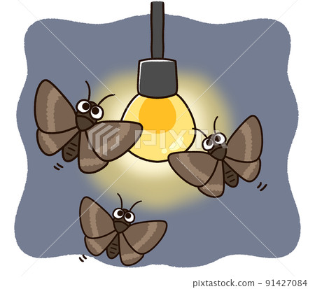 Moths gathering in a light bulb Moths gathering in a light bulb 91427084