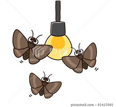 聚集在燈泡裡的飛蛾 聚集在燈泡裡的飛蛾 91427085