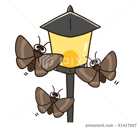 Moth gathering in a streetlight Moth gathering in a streetlight 91427087