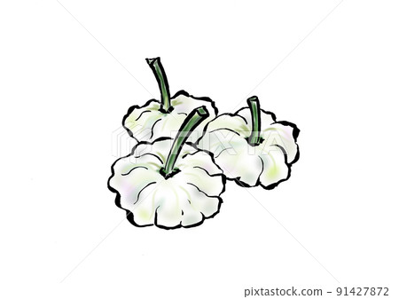 Illustration of Pattison of white western vegetables 91427872