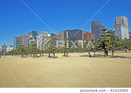 江戶城（千代田） 91428969