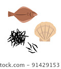 Illustration of flatfish, scallop and hijiki 91429153