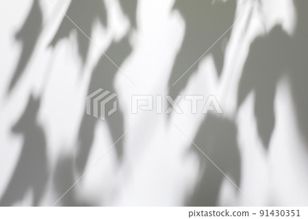 shadows of tree leaves branches on a white wall shadows of tree leaves branches on a white wall 91430351