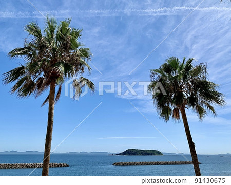 Palm trees, blue sky, Kajishima [Kira Waikiki Beach Miyazaki Beach / Nishio City, Aichi Prefecture] 91430675
