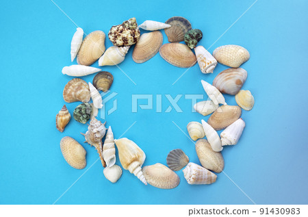 Different sea shells on a blue background. The concept of a beach sea holiday. Place for text 91430983