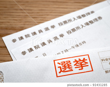 Election polling place admission ticket 91431285