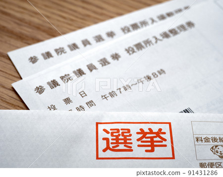 Election polling place admission ticket 91431286