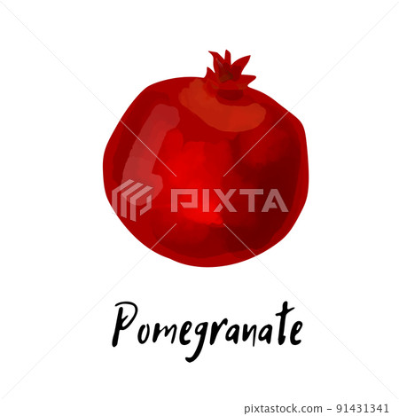 Illustration of a pomegranate isolated on a white Illustration of a pomegranate isolated on a white 91431341