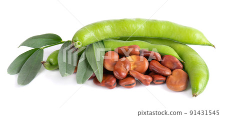 Fresh broad beans in pods with green leaf, isolated on white background. Dry fava beans. 91431545