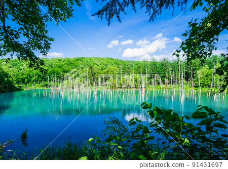 Blue Pond Biei Blue Pond Biei 91431697