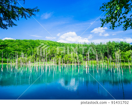 Blue Pond Biei 91431702