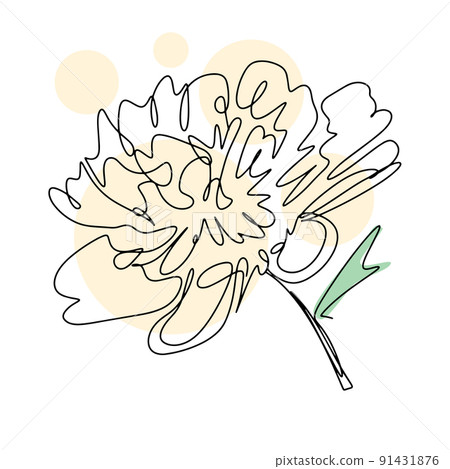Delicate blooming peony flower lineart isolated vector Delicate blooming peony flower lineart isolated vector 91431876