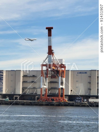 An airplane and white clouds that shine in the blue sky in summer, the face of a giraffe in the sea 91431907