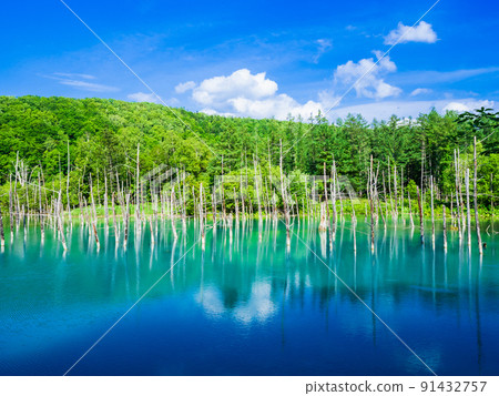 Blue Pond Biei 91432757