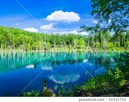 Blue Pond Biei Blue Pond Biei 91432758