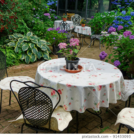 Tea time surrounded by flowers Tea time surrounded by flowers 91433093