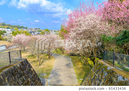 Beautiful Umebayashi Park scenery with the winter sky and cityscape in the background Hyakubaien "The place where the famous" Kanesaka Shimizu "opened a private school" Beautiful Umebayashi Park scenery with the winter sky and cityscape in the background Hyakubaien "The place where the famous" Kanesaka Shimizu "opened a private school" 91433436