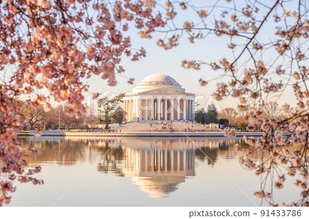 Cherry Blossom Festival in Washington, D.C. in USA 91433786