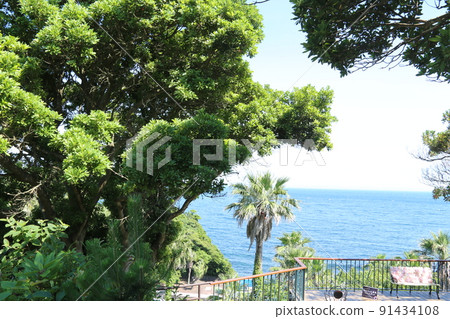 View of the flower garden 91434108
