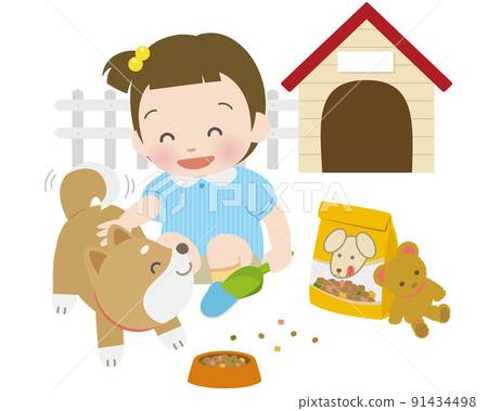 餵柴犬的小女孩 餵柴犬的小女孩 91434498