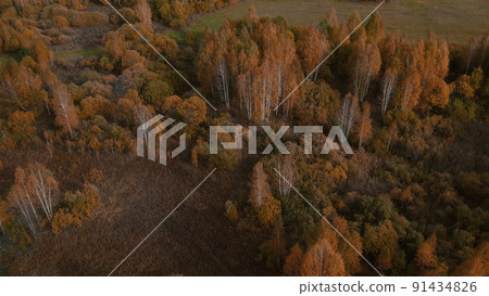 Autumn yellow and green forest in Ural 91434826
