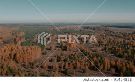 Autumn yellow and green forest in Ural Autumn yellow and green forest in Ural 91434838