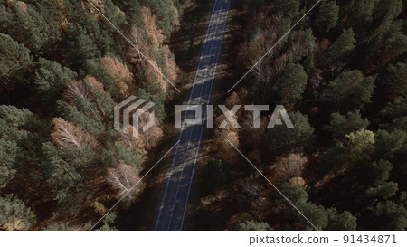 Closeup road between yellow and green autumn forest 91434871
