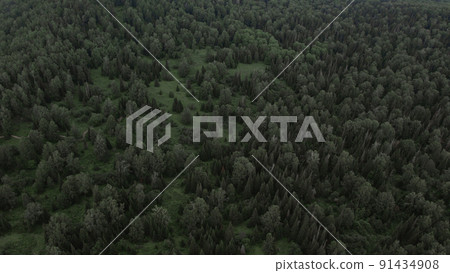 Deep green forest on mountains of Manzherok in summer time 91434908