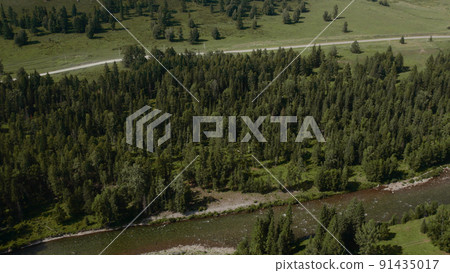Deep forest and river in valley of Altai Deep forest and river in valley of Altai 91435017
