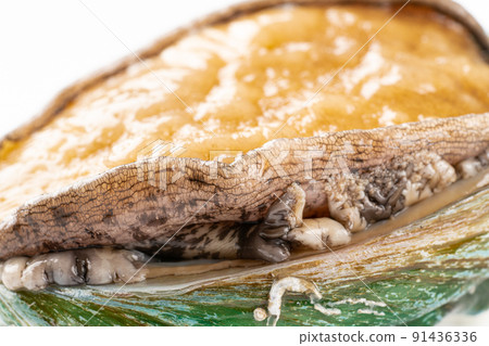 Live abalone Live abalone 91436336