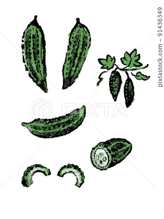 Bitter gourd Bitter gourd 91436349