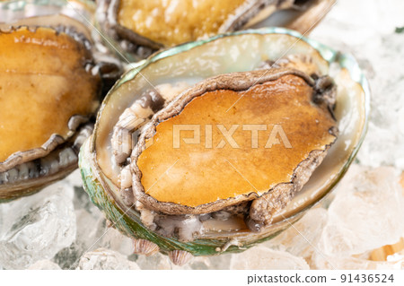 Live abalone Live abalone 91436524