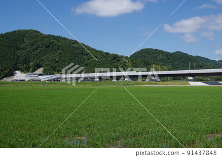2022年6月,鯖江市吉谷町福井第二隧道南側附近的北陸新幹線延長工程 2022年6月,鯖江市吉谷町福井第二隧道南側附近的北陸新幹線延長工程 91437848