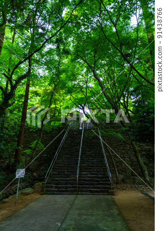 Nekoji Temple Nekoji Temple 91438766