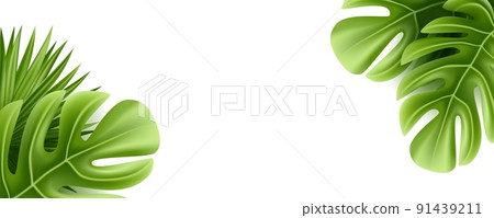 Tropical palm leaf isolated on white background. Realistic green summer plant. Vector illustration Tropical palm leaf isolated on white background. Realistic green summer plant. Vector illustration 91439211