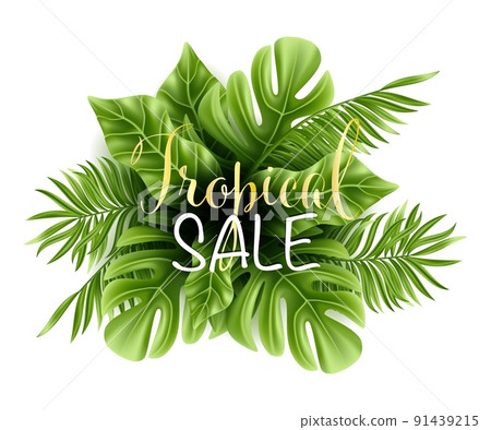 Tropical palm leaf isolated on white background. Realistic green summer plant. Vector illustration 91439215