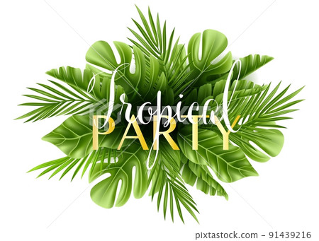 Tropical palm leaf isolated on white background. Realistic green summer plant. Vector illustration 91439216