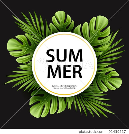 Tropical palm leaf isolated on white background. Realistic green summer plant. Vector illustration Tropical palm leaf isolated on white background. Realistic green summer plant. Vector illustration 91439217