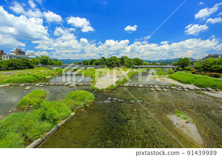 夏季京都鴨川三角洲 91439989