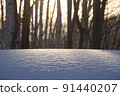 Snowfield trees and Asahi 2 91440207