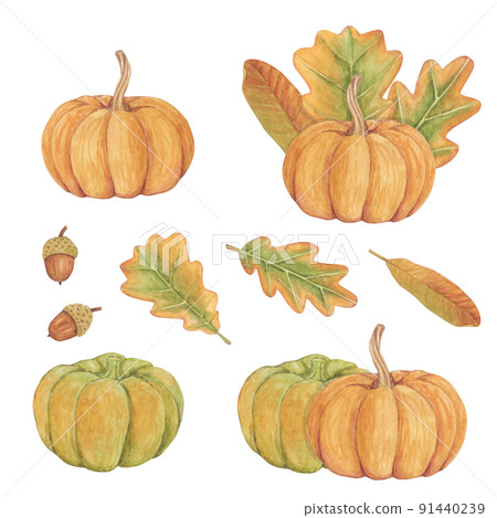 Watercolor set with autumn elements. Pumpkin leaves isolated on white background Watercolor set with autumn elements. Pumpkin leaves isolated on white background 91440239