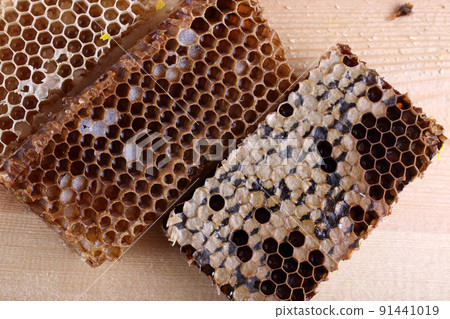 Different color honey on table. Flower and buckwheat honey 91441019