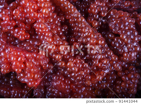 Red caviar background 91441044
