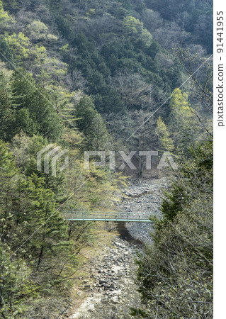 山梨縣春田羽川田羽山村 4月 山梨縣春田羽川田羽山村 4月 91441955