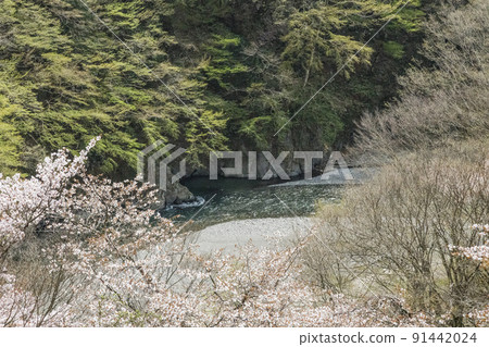 Spring Taba River, Yamanashi Prefecture, Tabayama Village, April Spring Taba River, Yamanashi Prefecture, Tabayama Village, April 91442024