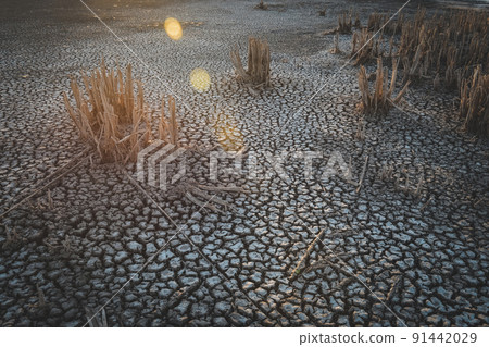 Dry soil.La Pampa Argentina Dry soil.La Pampa Argentina 91442029