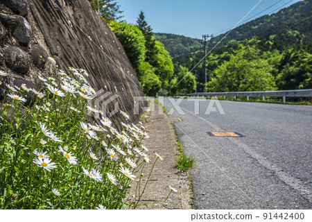 <<Gifu Prefecture>> Ena City scenery <<Gifu Prefecture>> Ena City scenery 91442400